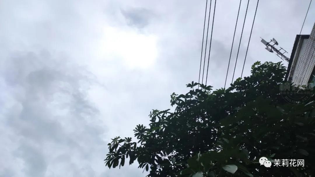 微信图片_20210703090956.jpg