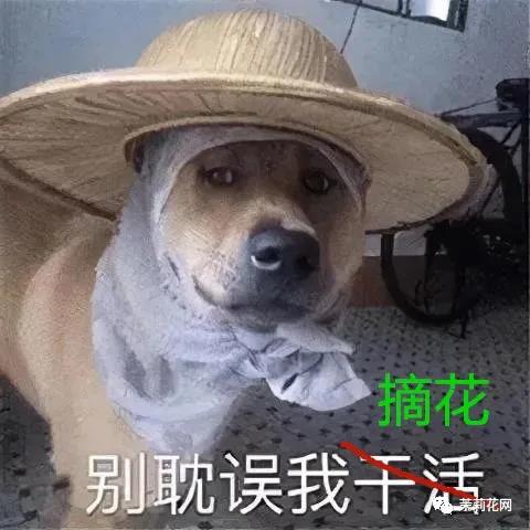 微信图片_20210712085803.jpg