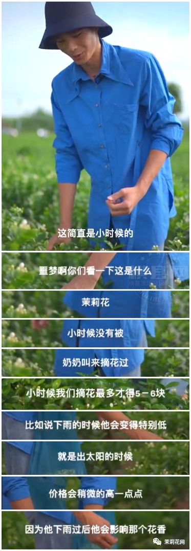 084113mvznpq5c4p659j9f.png