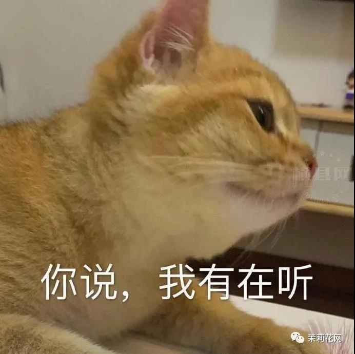微信图片_20210713084803.jpg
