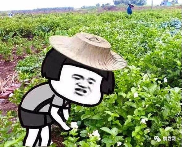 微信图片_20210716084455.jpg