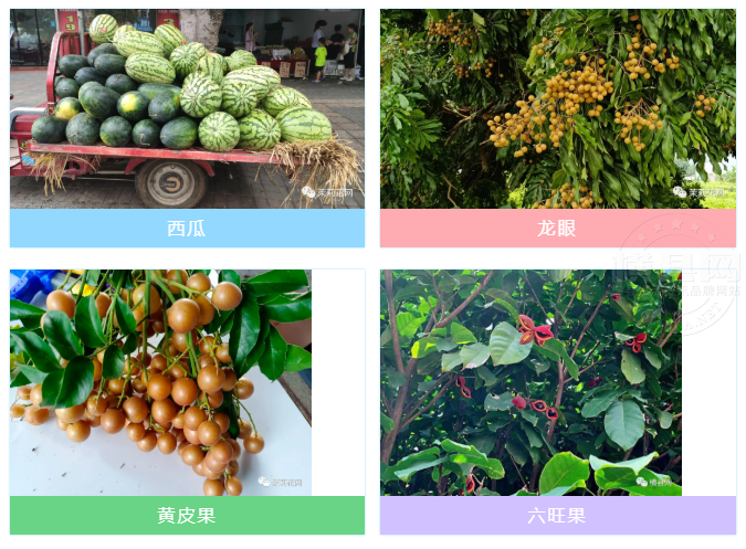 微信图片_20210720084434.png