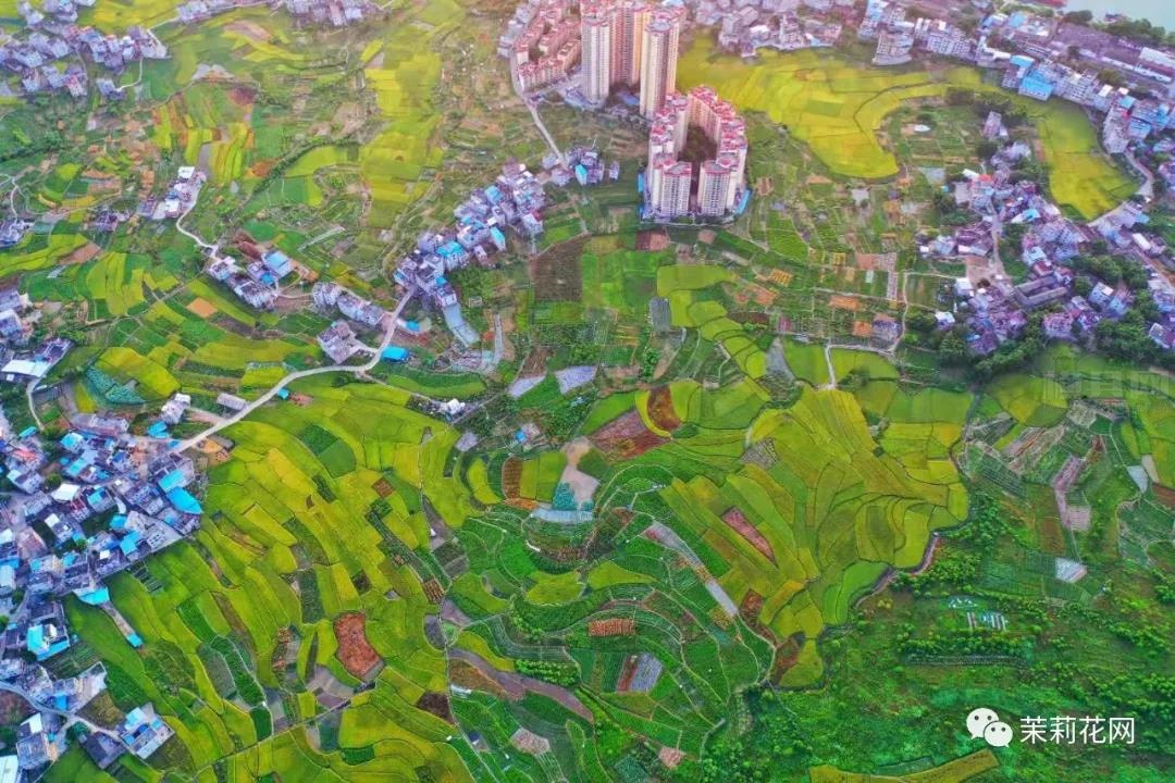 微信图片_20210720084550.jpg
