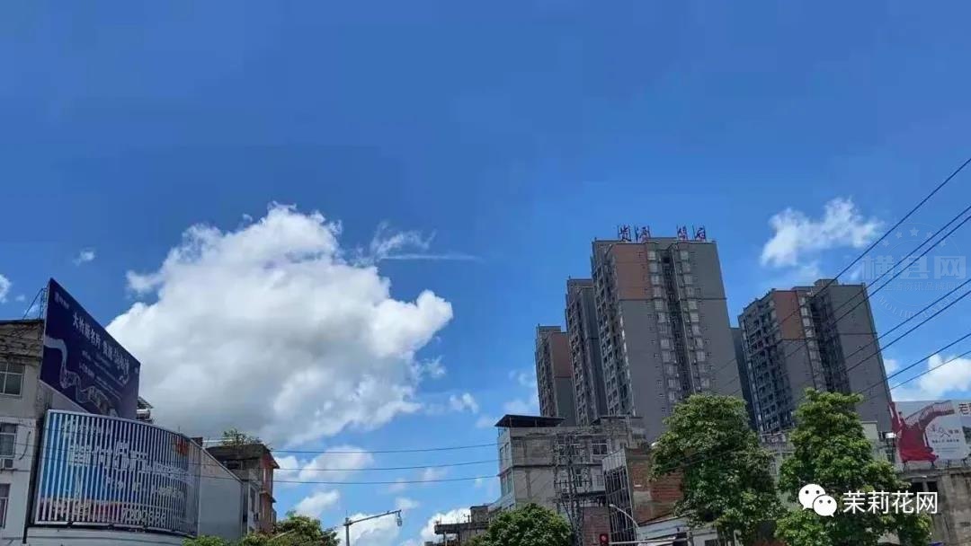 微信图片_20210720084520.jpg