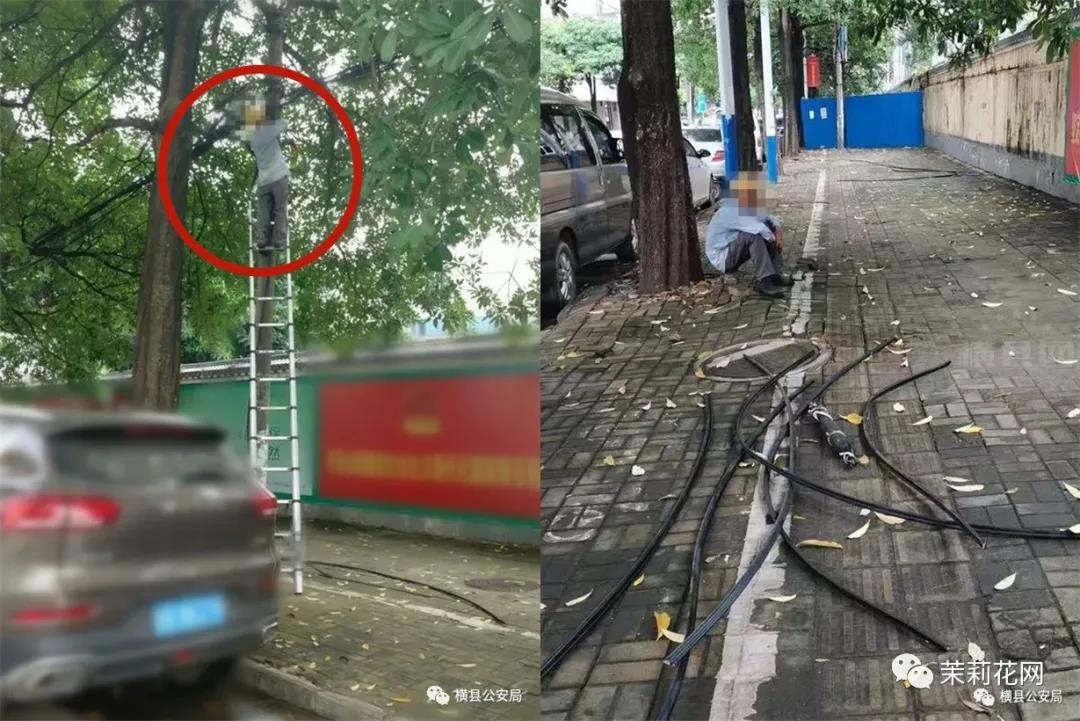 微信图片_20210721084452.jpg