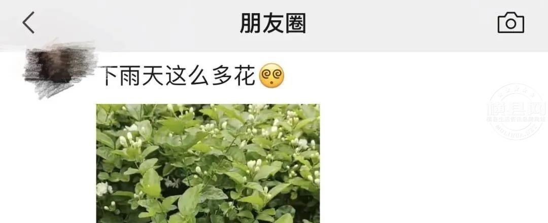 微信图片_20210723084402.jpg