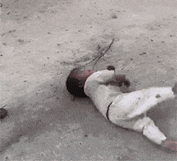 084016tclcgvwtnnlqcvrm.gif
