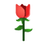 084935nnofz8tpt8wbzn6w.png