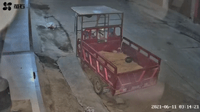 084707t08m6w1xm0m7m7m1.gif
