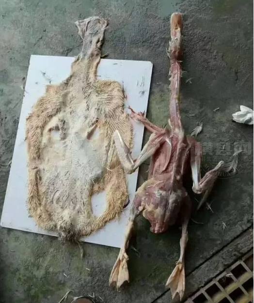 微信图片_20210821084839.jpg