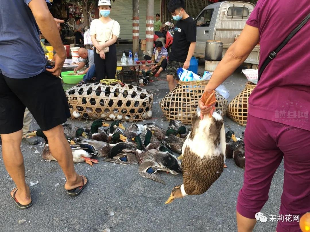 微信图片_20210821084808.jpg