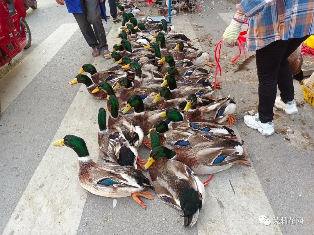 微信图片_20210821084811.jpg