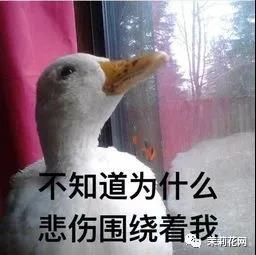微信图片_20210821084902.jpg