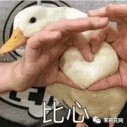 微信图片_20210823090945.jpg