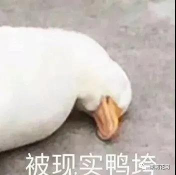 微信图片_20210823090954.jpg