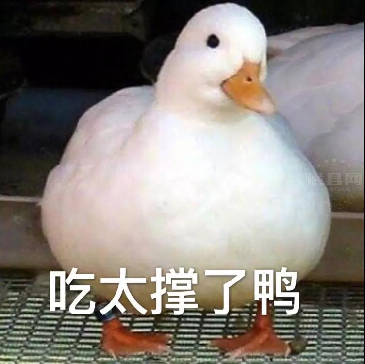 微信图片_20210823091111.jpg