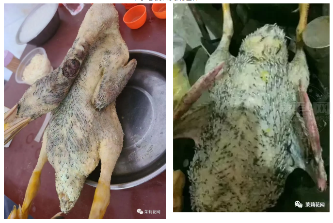 微信图片_20210823091024.png