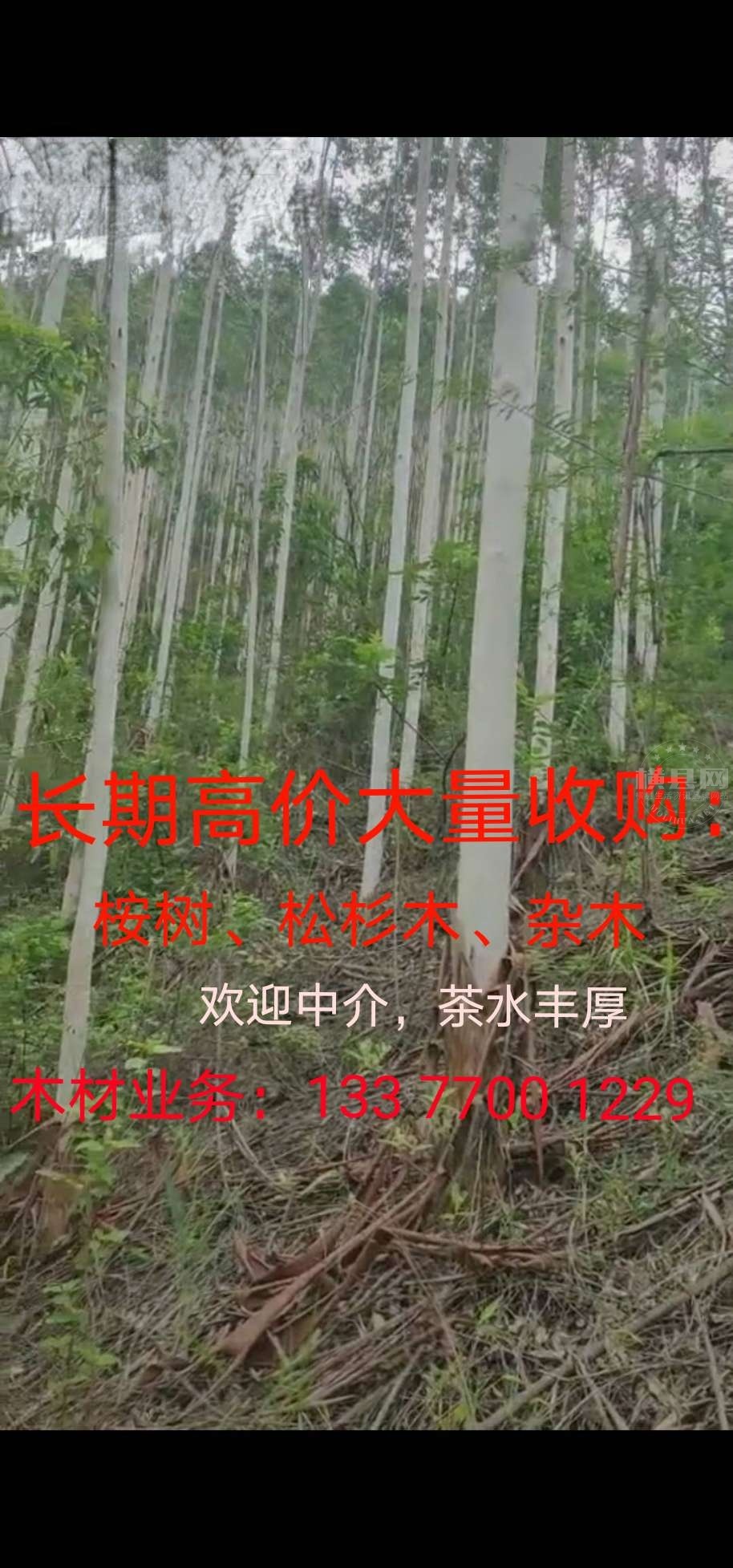 wechat_upload1631337799613c3d47627c8