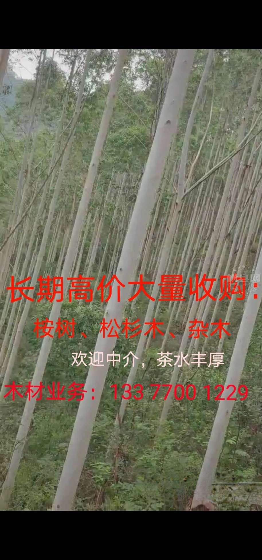 wechat_upload1631337804613c3d4cd21c9