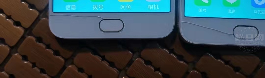 微信图片_202110111510134.jpg