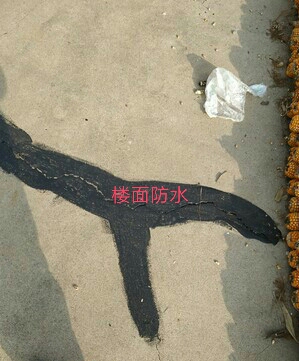 wechat_upload163799740261a1db5a46e49