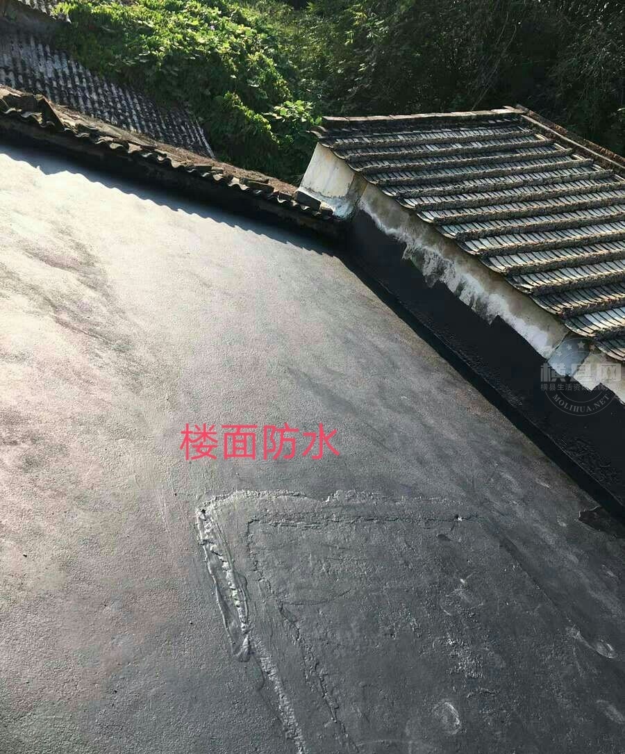wechat_upload163799756261a1dbfa60c0f