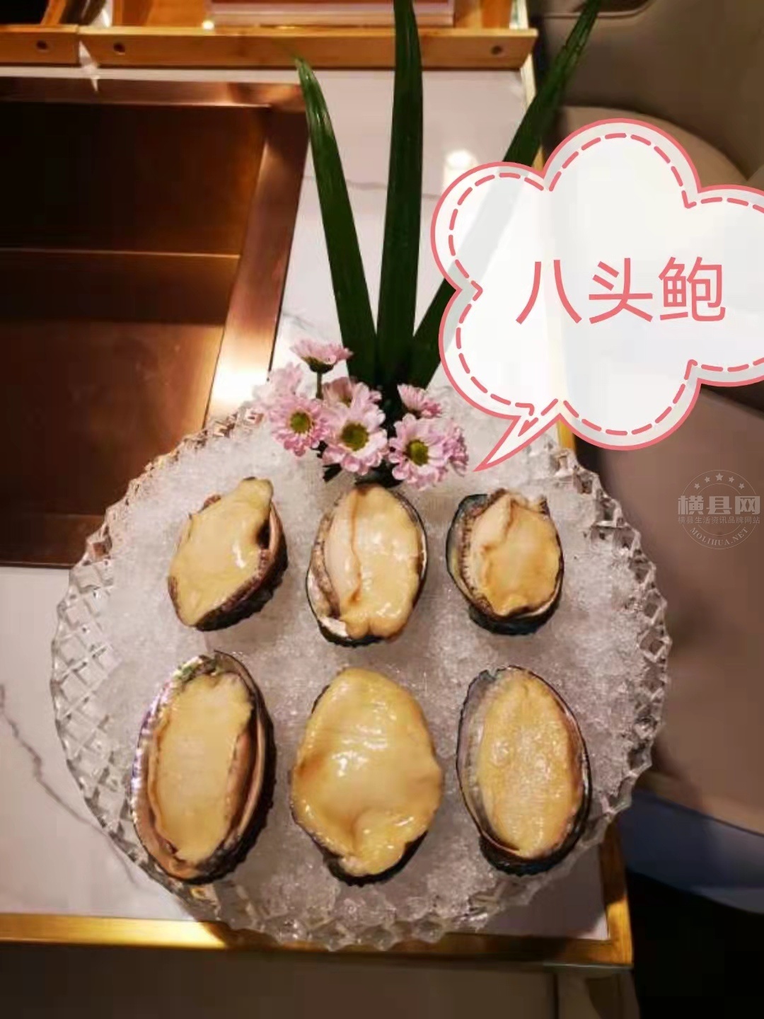 wechat_upload163906275661b21ce4bf863