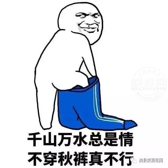 秋裤.jpg