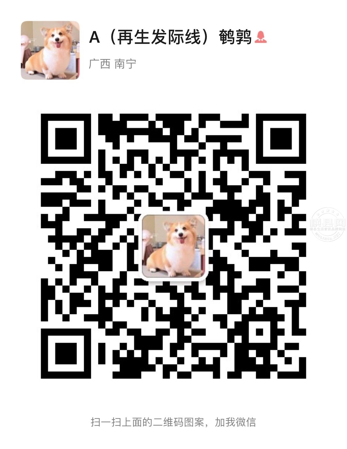 wechat_upload164255755461e77072e4ffe