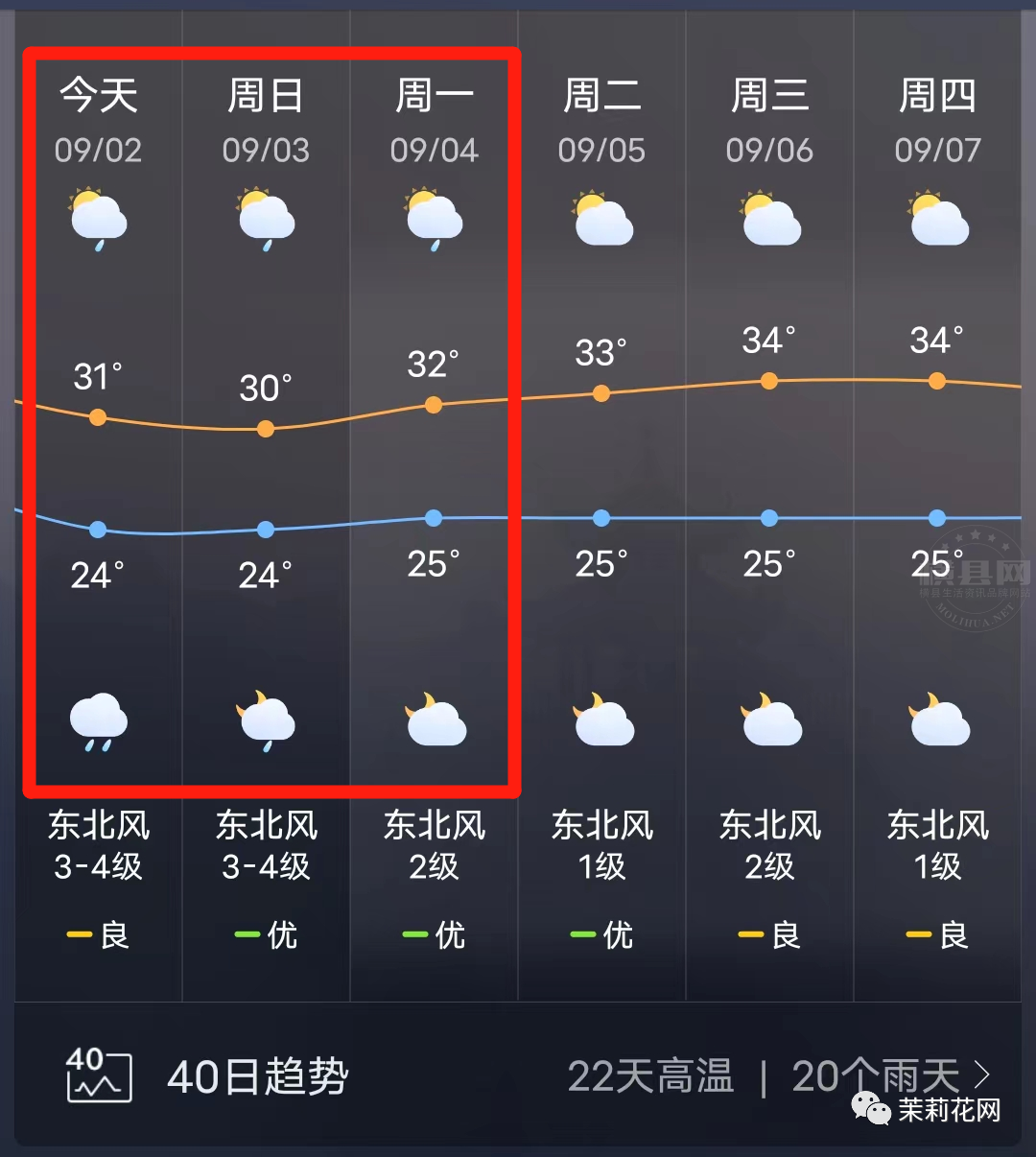 084958x7w55fqq22cs7mv7.png