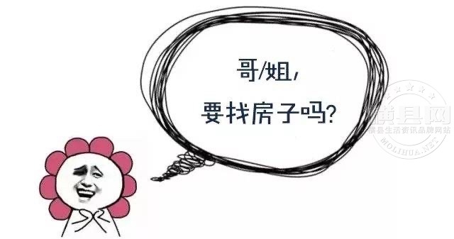 wechat_upload169909722765462a8be4f1a