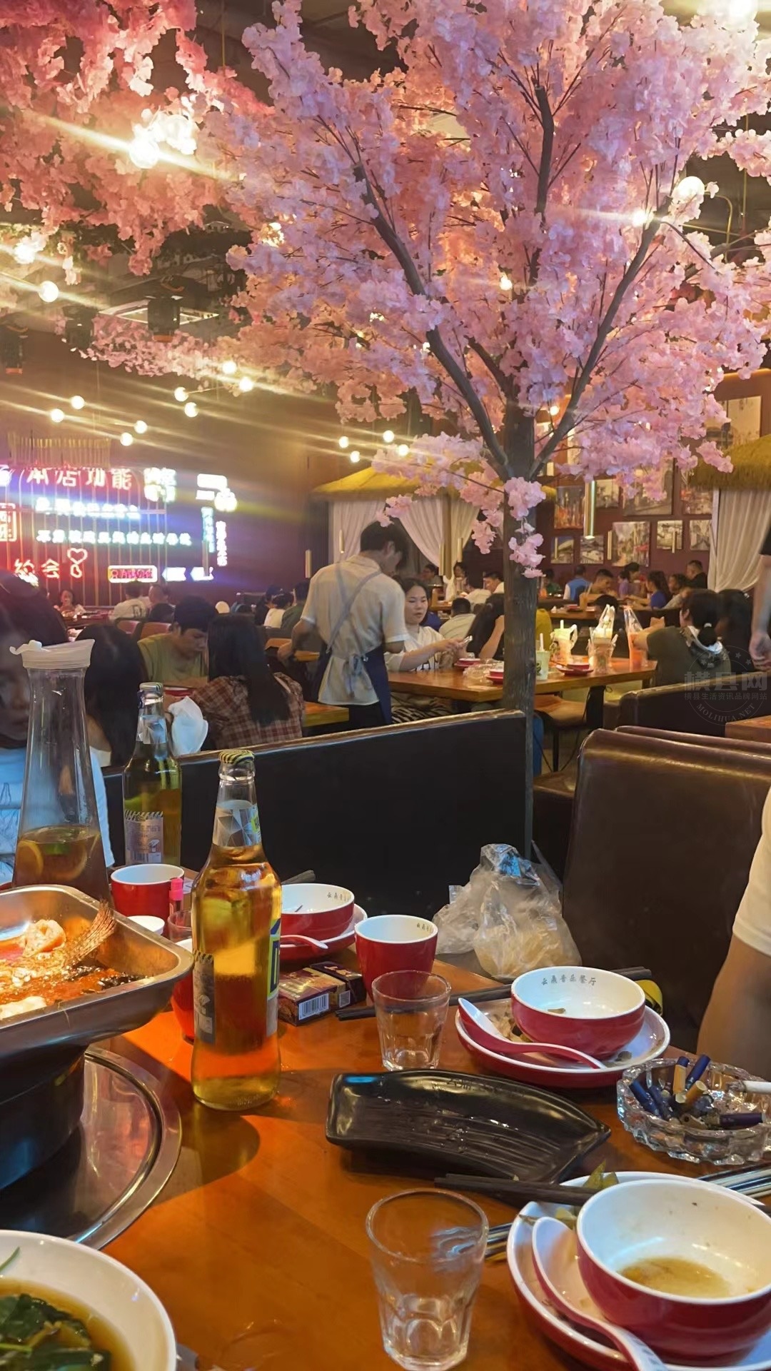 微信图片_20231204154954.jpg