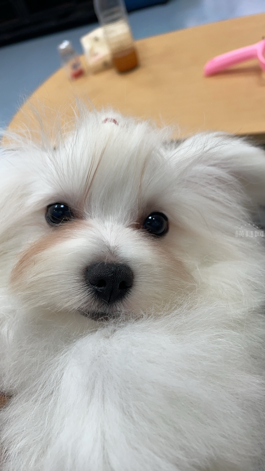 wechat_upload171143016566025a1557adf