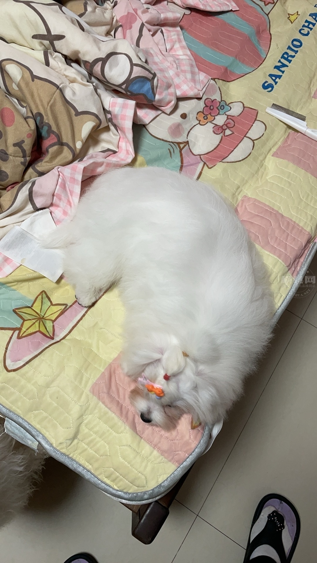 wechat_upload171143017566025a1f3981e