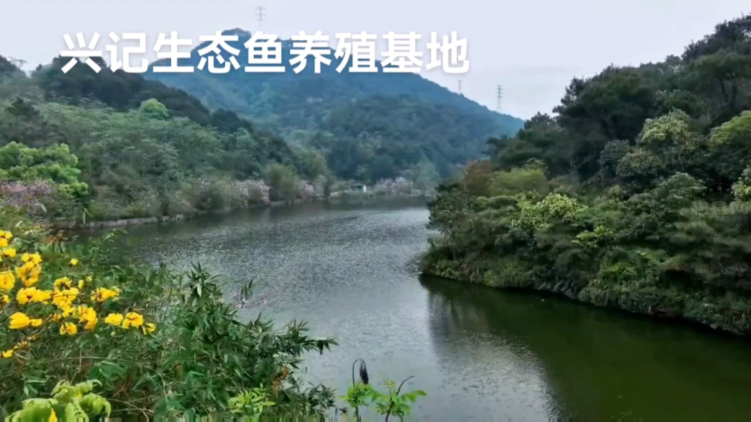 Videoframe_20240502_102806_com.huawei.himovie.local.jpg