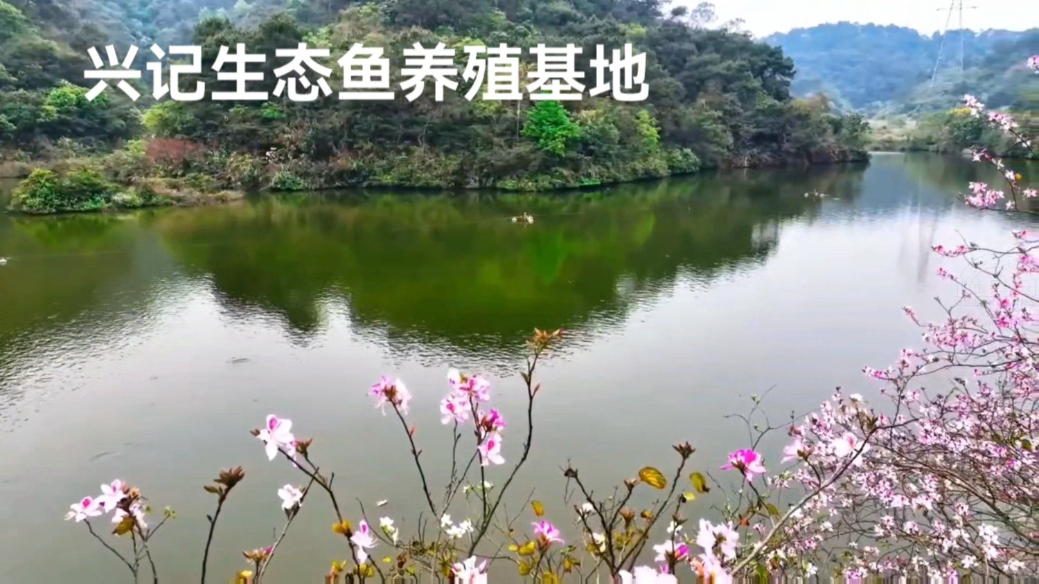 Videoframe_20240502_102823_com.huawei.himovie.local.jpg