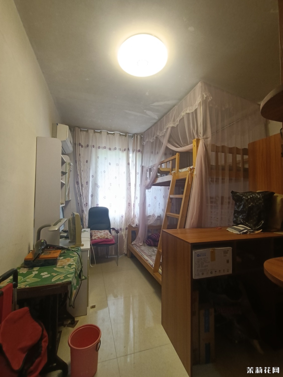 MVIMG_20240905_141015.jpg