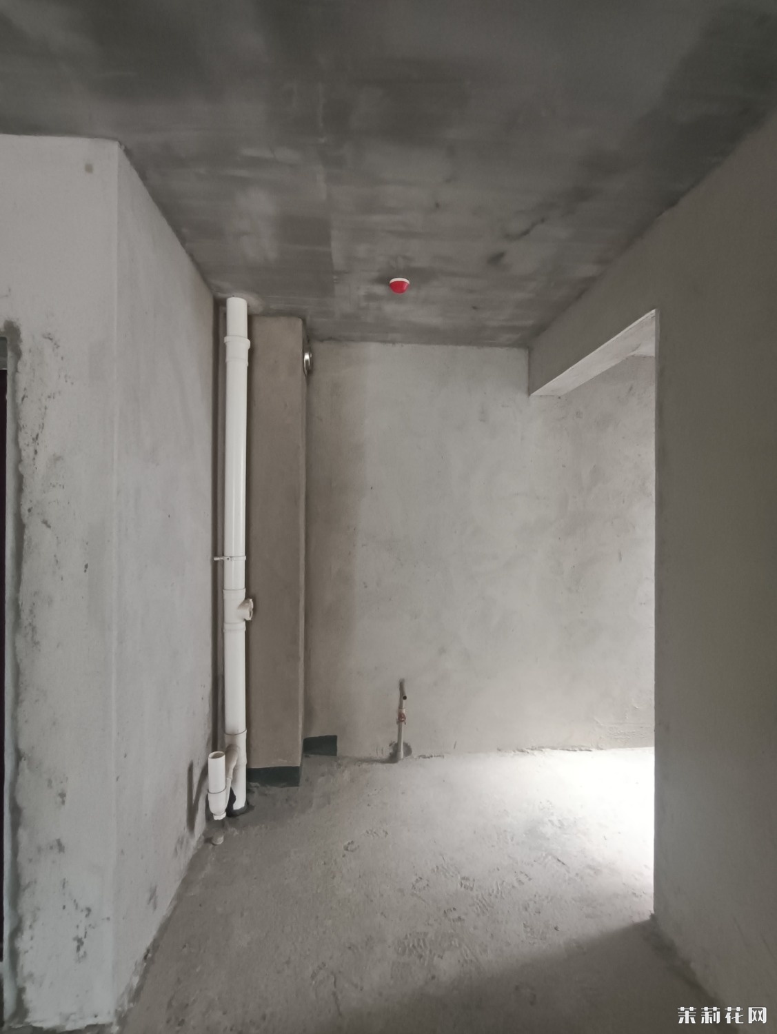 MVIMG_20240905_101551.jpg