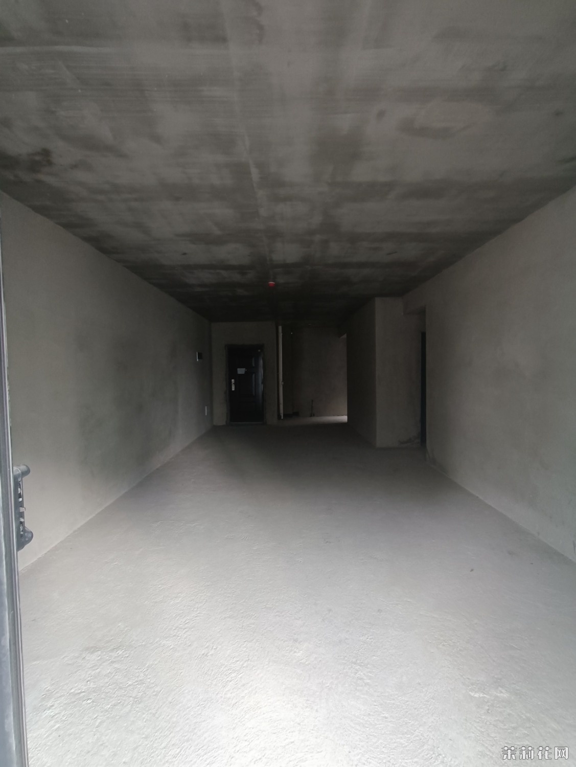 MVIMG_20240905_101518.jpg