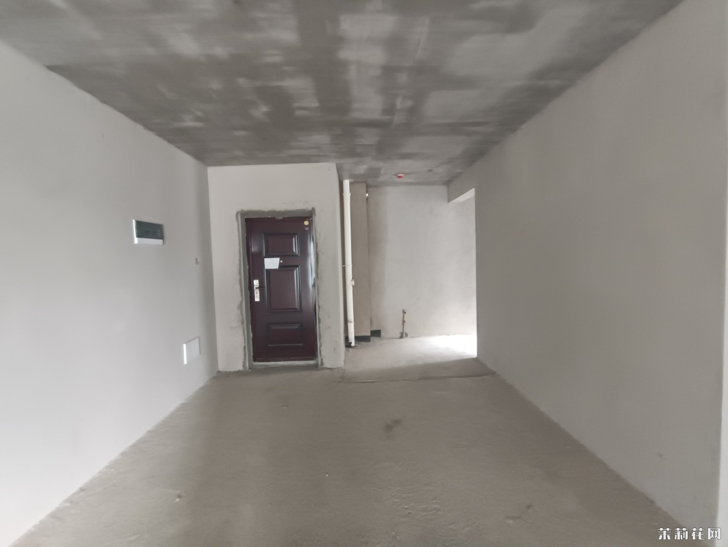 MVIMG_20240905_101531.jpg