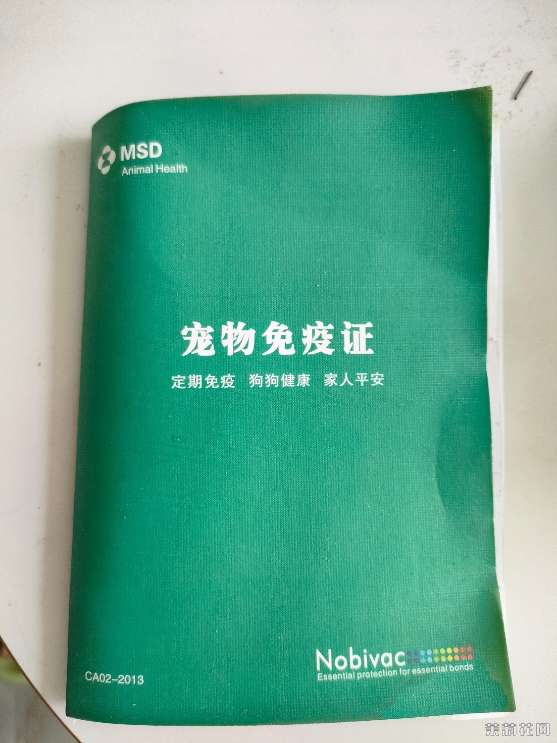 IMG20240912134621.jpg