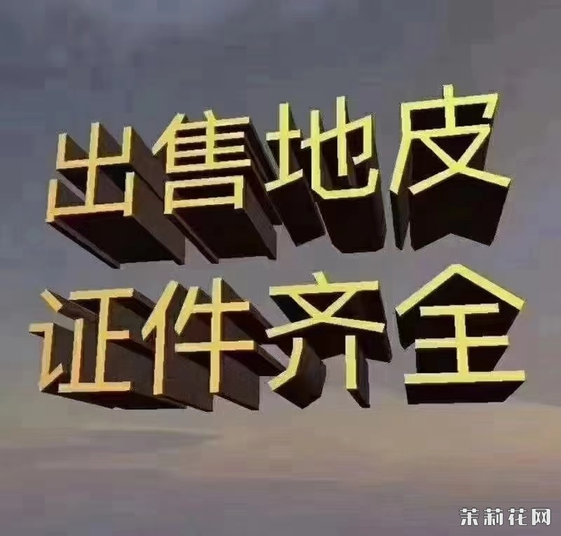 wechat_upload17294256766714f10ccb591