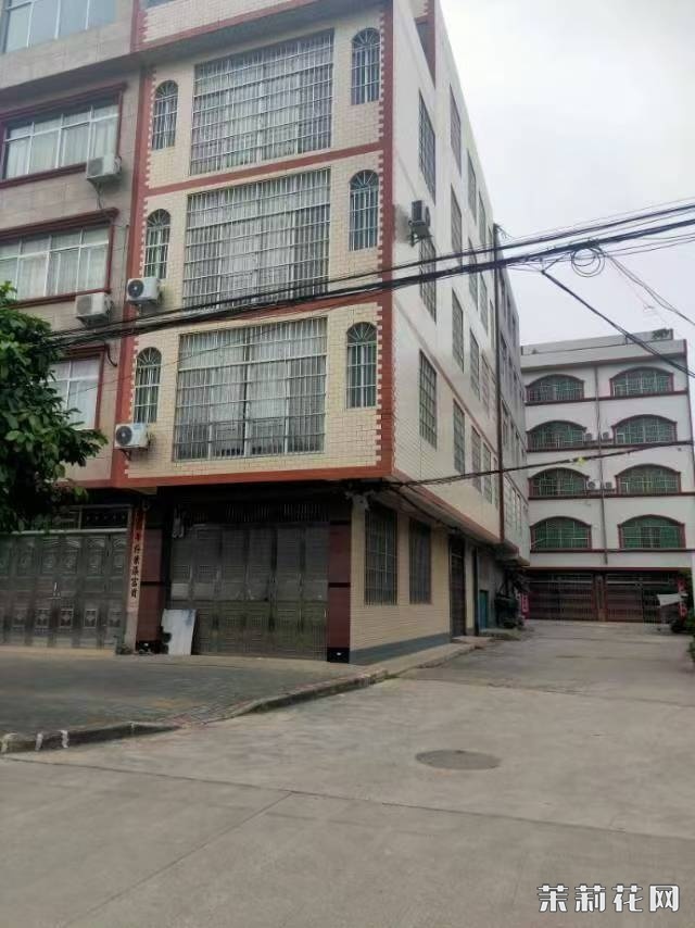 wechat_upload172951879667165ccc0f4e3