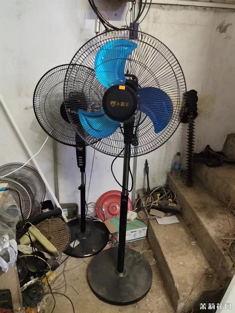 微信图片_20241028015522.jpg