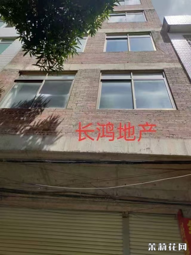 wechat_upload1731073741672e16cd4f79d