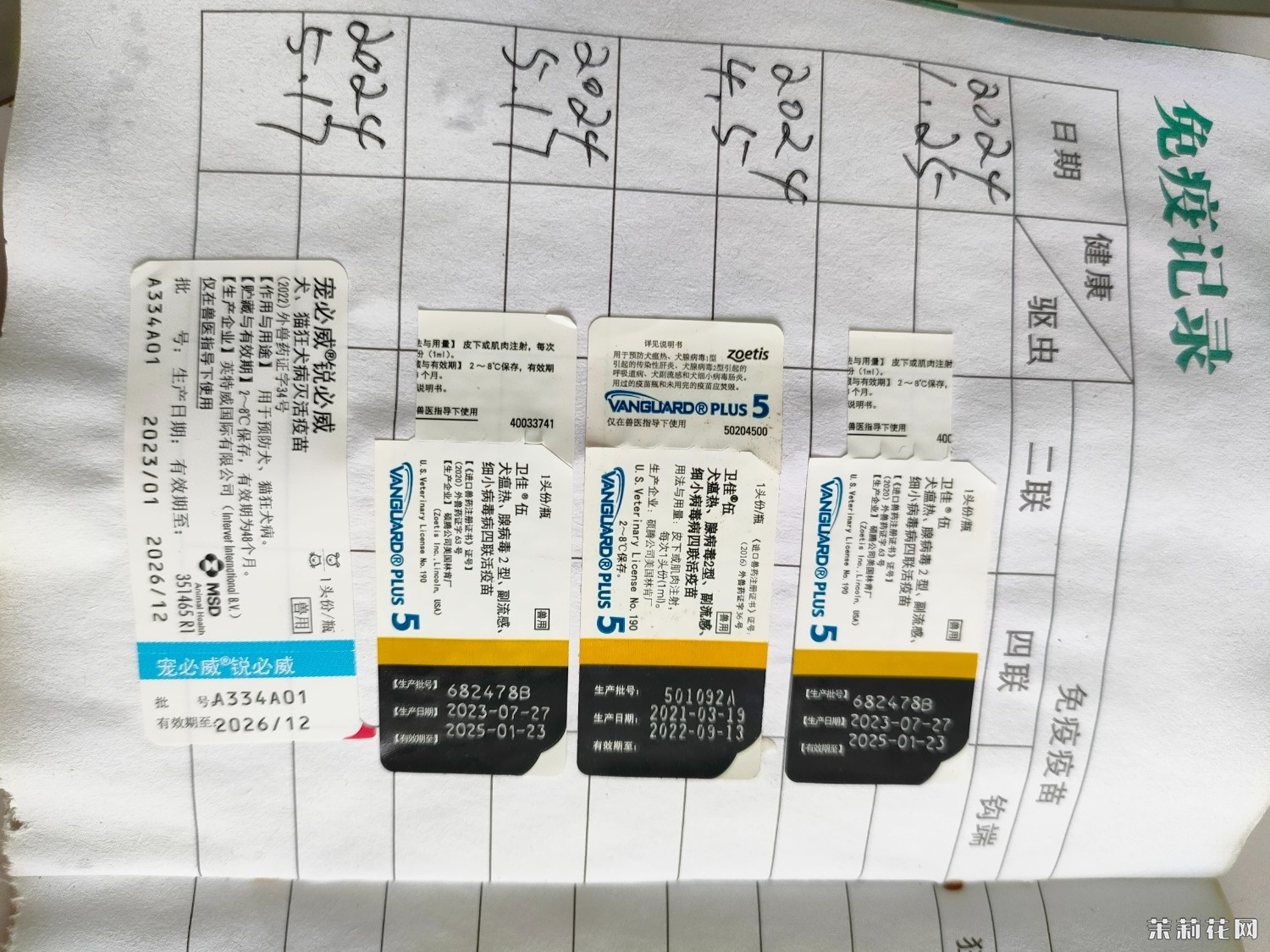 140023g1fqzakz4cdln61l.jpg