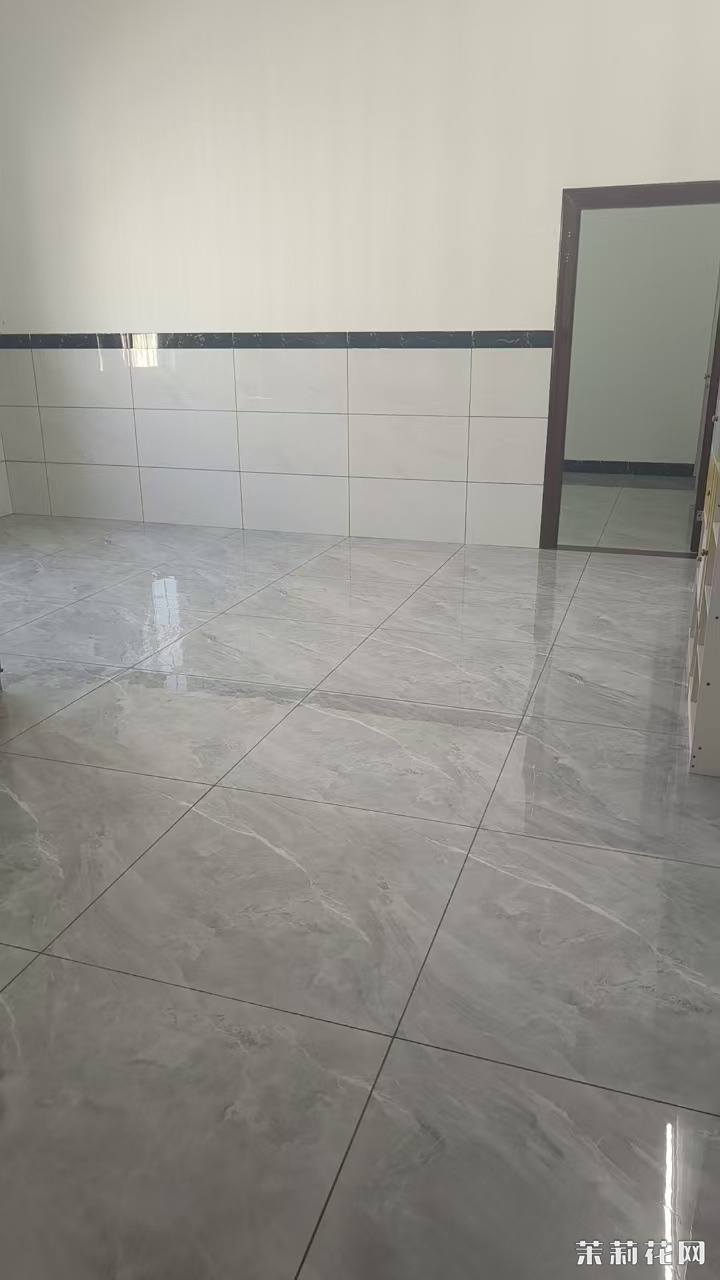 mmexport1731029108717.jpg