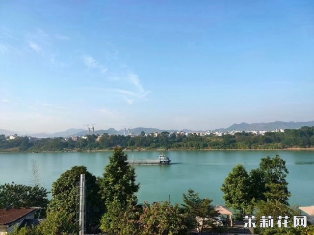 wechat_upload173253276767445a1fcaec8