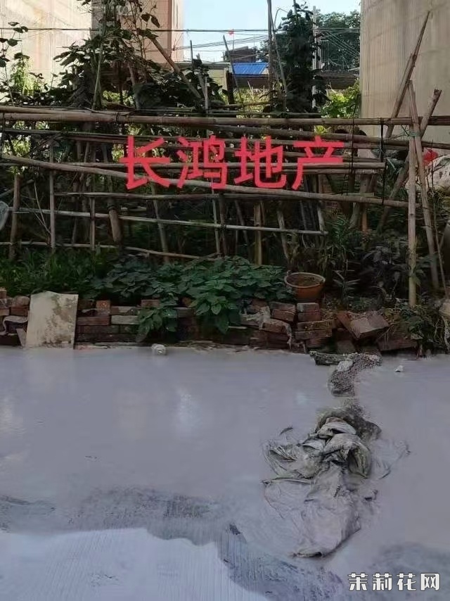 wechat_upload173495470567694ed179252