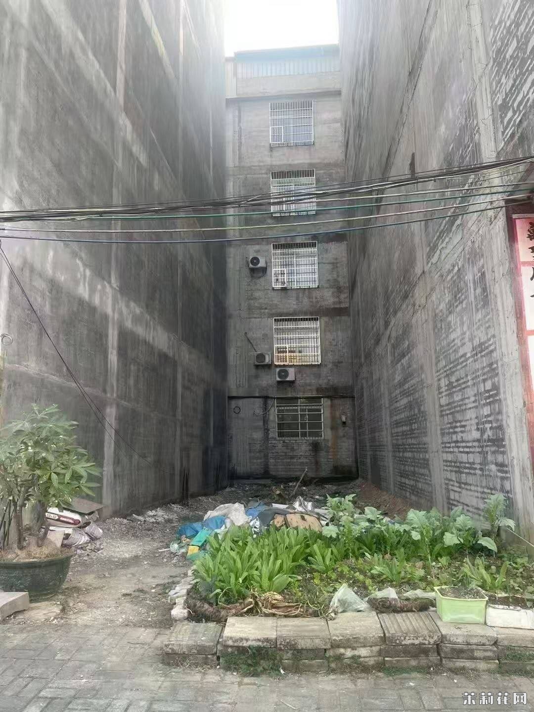 wechat_upload173600256067794c00227ee